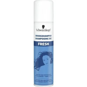 Beste Droogshampoo